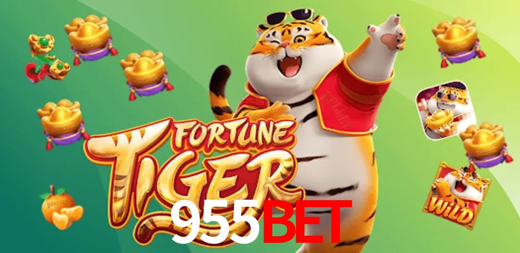 Experiência VIP 955bet